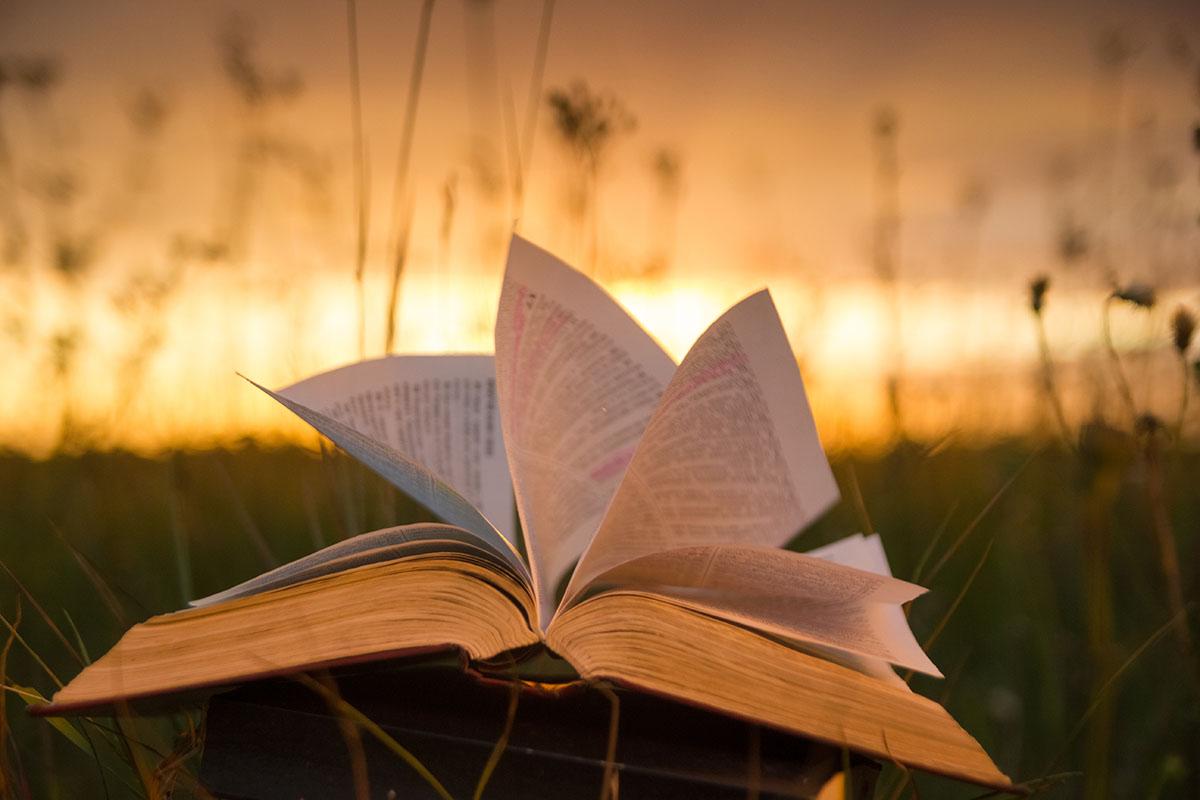 Unraveling the Tapestry of Knowledge: A Polymath's Essential Reading List
