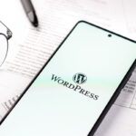 WordPress and Ecommerce Development Costs